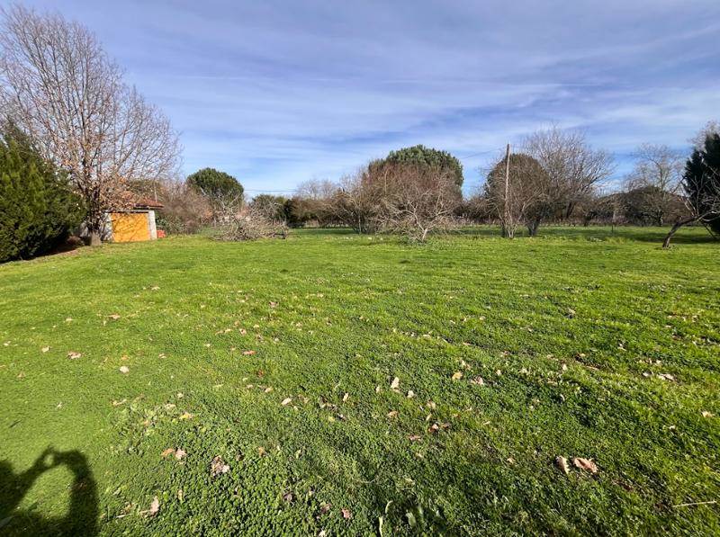 Vente Terrain FONTENILLES - -500 m² - (31470)