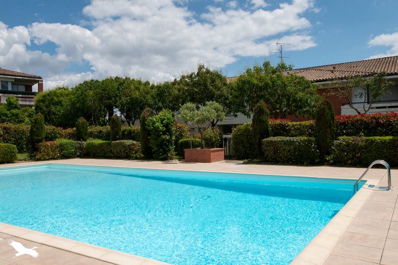 Vente Appartement FONSORBES - 3 pièces -62 m² - (31470)