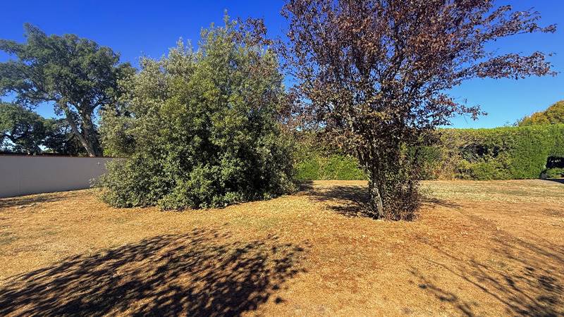 Vente Terrain FONSORBES - -450 m² - (31470)