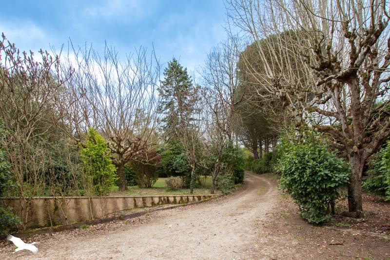 Vente Maison BEAUMONT SUR LEZE - 7 pièces -230 m² - (31870)