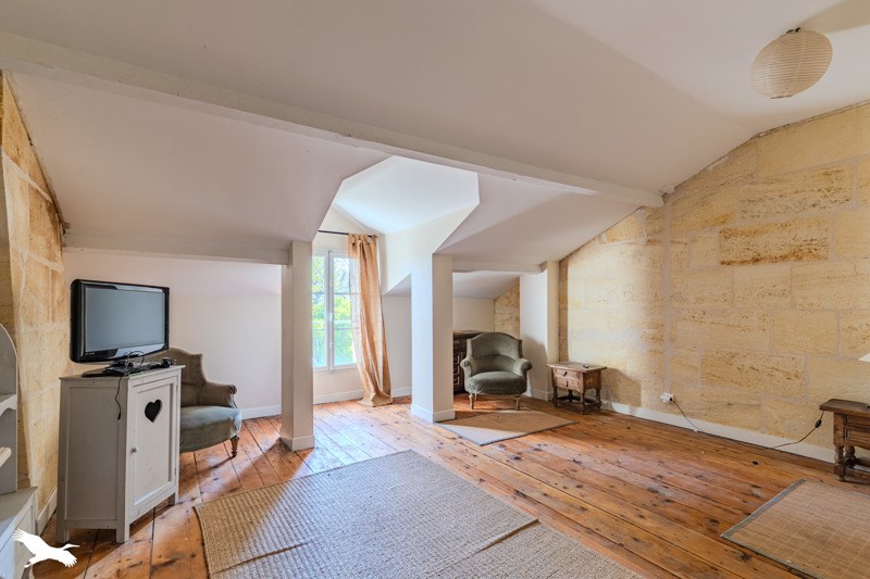 Vente Maison VAYRES - 14 pièces -367 m² - (33870)