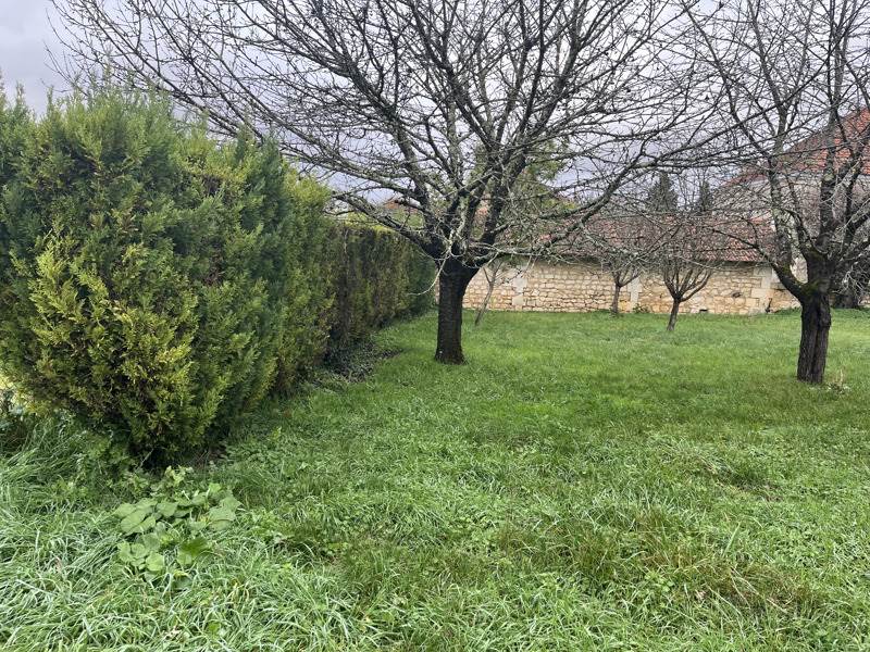 Vente Terrain VOEUIL ET GIGET - -1076 m² - (16400)