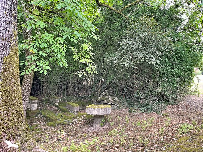Vente Maison NERSAC - 11 pièces -245 m² - (16440)