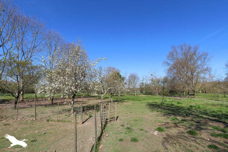 Vente Maison PRIGONRIEUX - 3 pièces -112 m² - (24130)