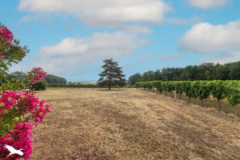 Vente Maison Gageac-et-Rouillac - 5 pièces -143 m² - (24240)