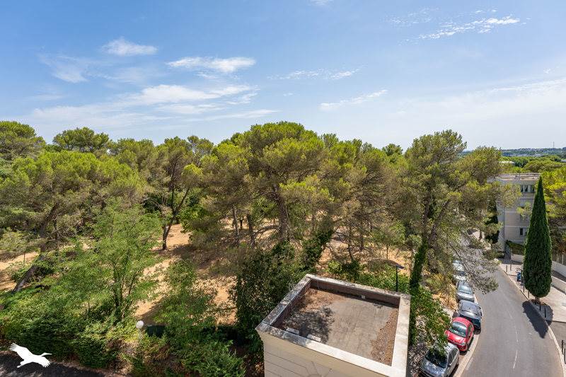 Vente Appartement MONTPELLIER - 3 pièces -75 m² - (34090)