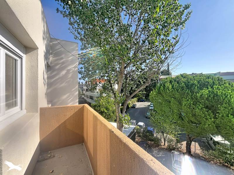 Vente Appartement MONTPELLIER - 1 pièce -18,1 m² - (34090)