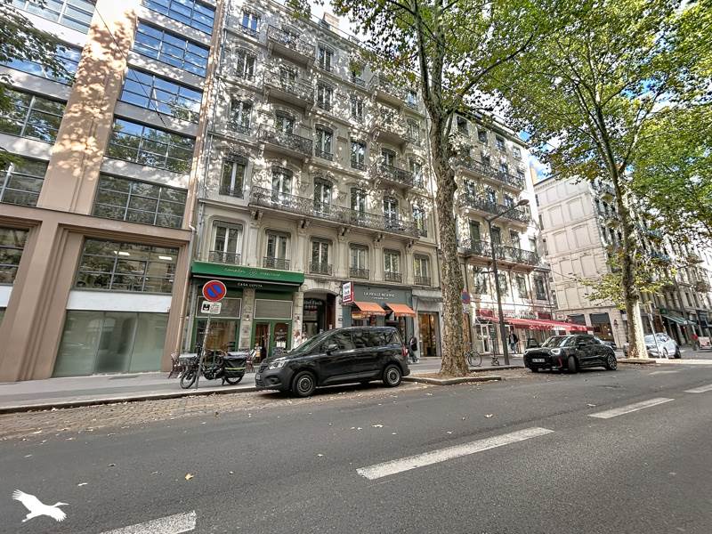 Vente Appartement Lyon - 4 pièces -74 m² - (69006)