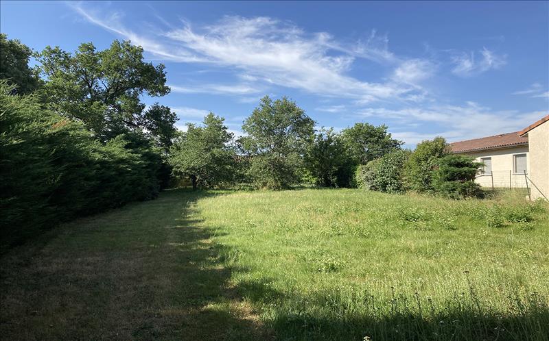 Vente Terrain GREPIAC - -1350 m² - (31190)