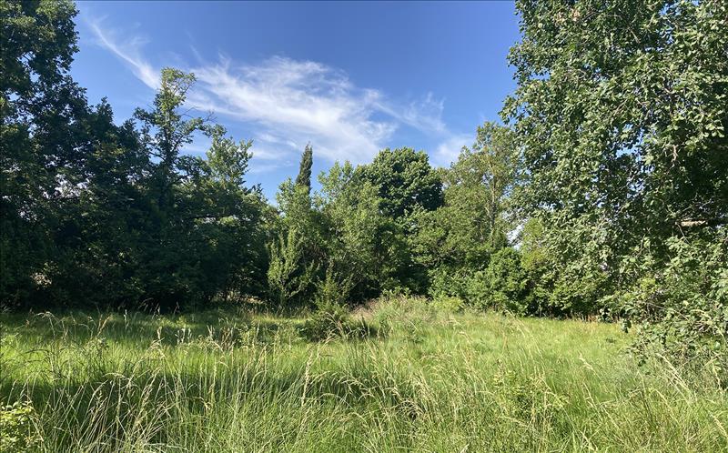 Vente Terrain GREPIAC - -5503 m² - (31190)