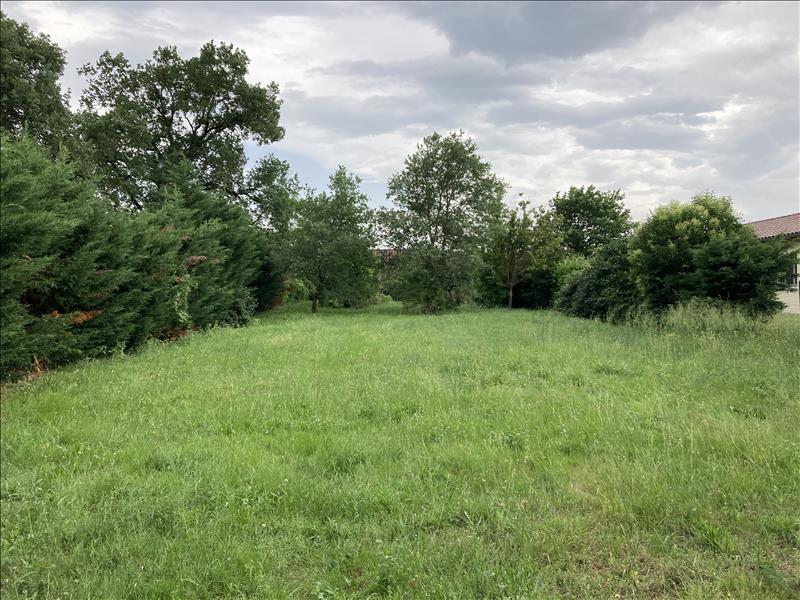 Vente Terrain GREPIAC - -5503 m² - (31190)