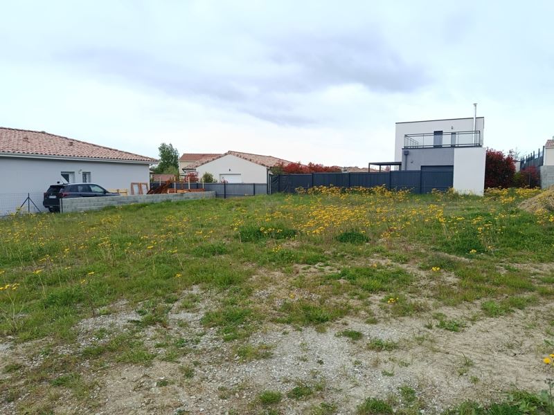 Vente Terrain VENERQUE - -501 m² - (31810)