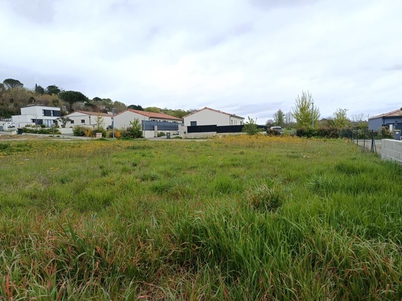 Vente Terrain VENERQUE - -501 m² - (31810)