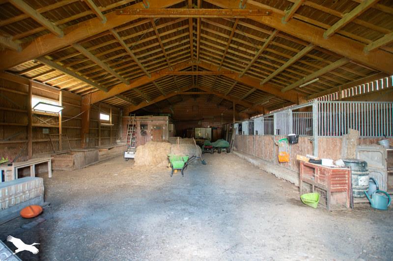 Vente Maison CLERMONT LE FORT - 10 pièces -430 m² - (31810)
