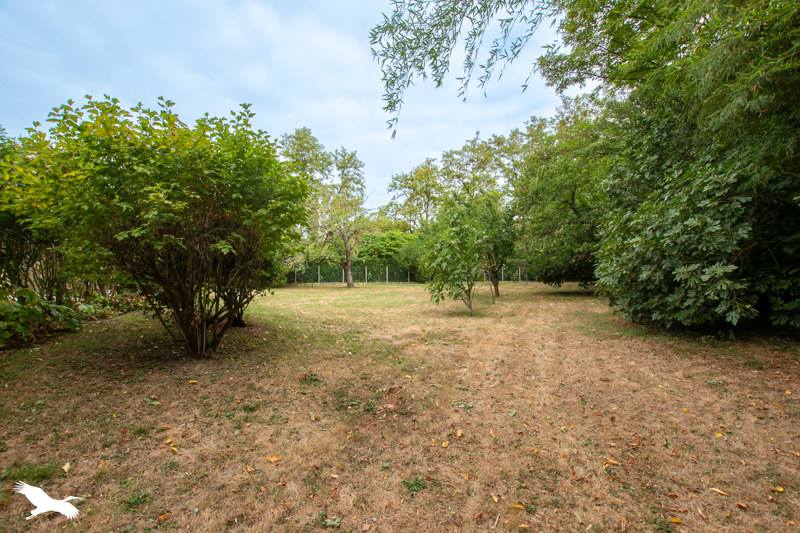 Vente Maison GREPIAC - 6 pièces -155 m² - (31190)