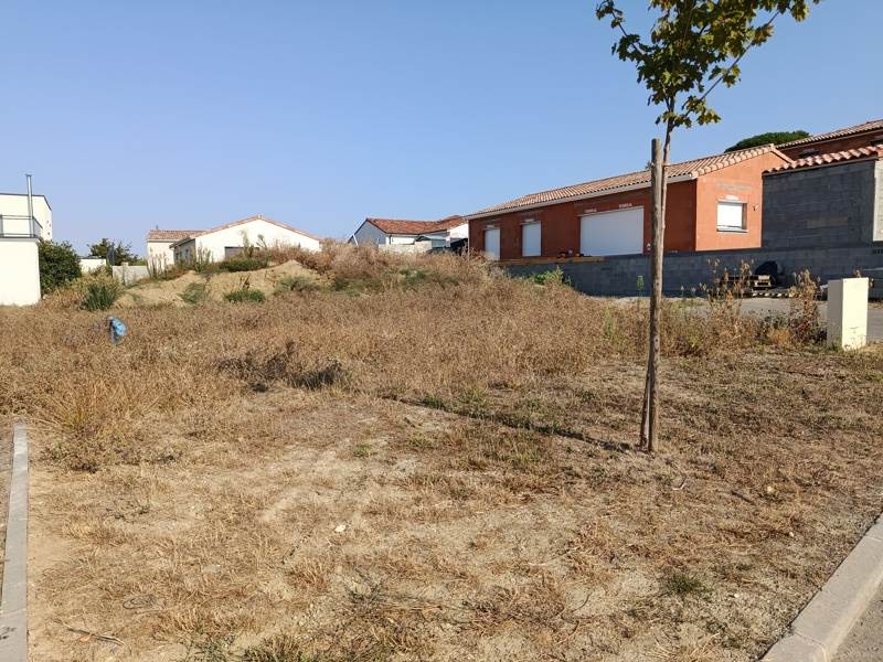 Vente Terrain VENERQUE - -501 m² - (31810)