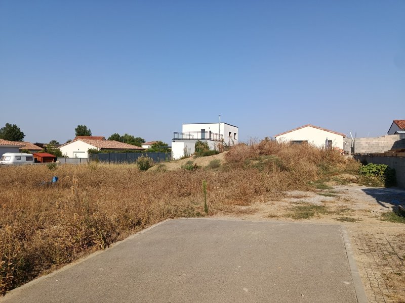 Vente Terrain VENERQUE - -501 m² - (31810)