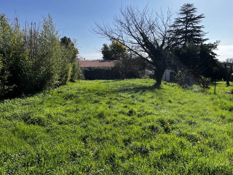 Vente Terrain COGNAC - -690 m² - (16100)