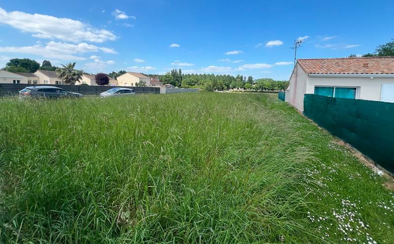 Vente Terrain ST BONNET SUR GIRONDE - -666 m² - (17150)