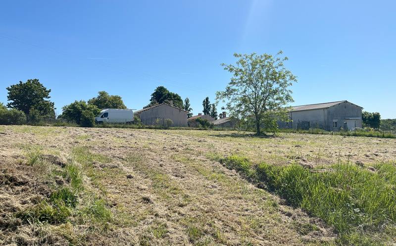 Vente Terrain ST GEORGES DES AGOUTS - -1269 m² - (17150)