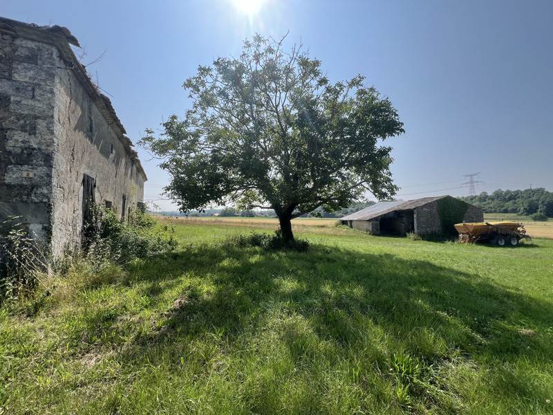 Vente Maison ST BONNET SUR GIRONDE - 4 pièces -120 m² - (17150)