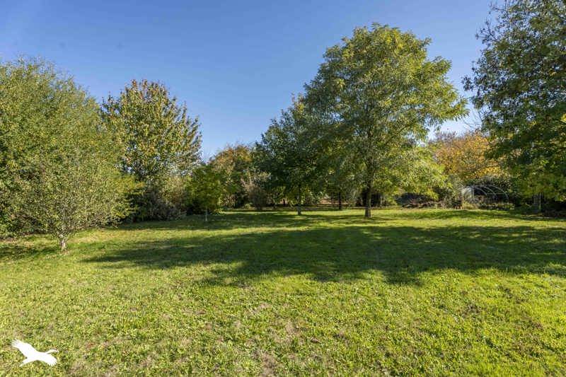 Vente Maison BOIS - 6 pièces -205 m² - (17240)