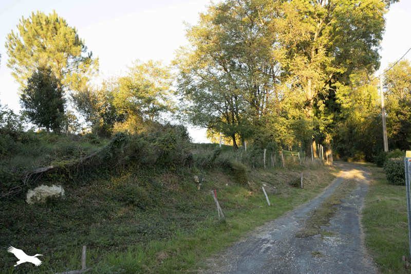 Vente Maison ST GEORGES DES AGOUTS - 8 pièces -130 m² - (17150)