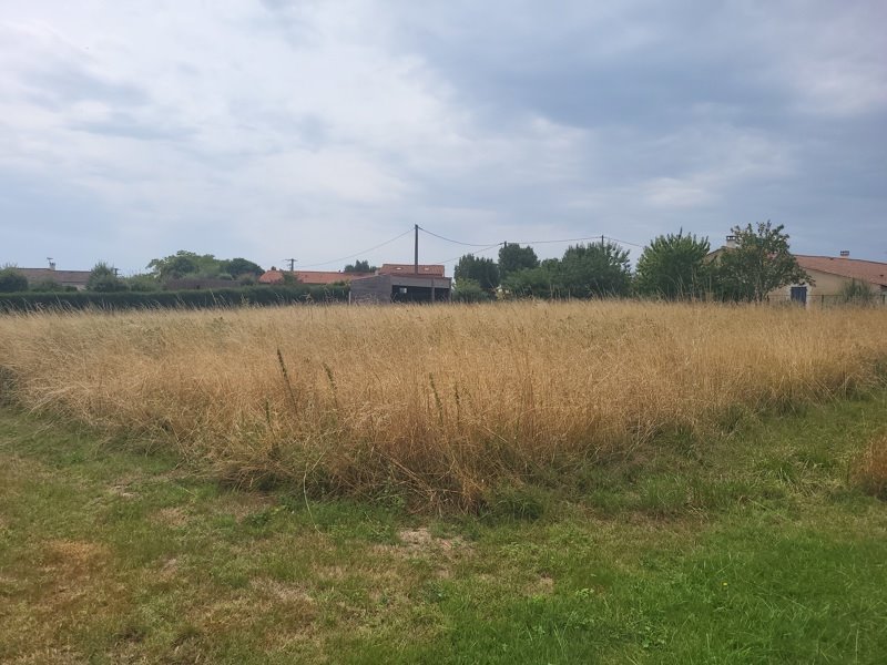 Vente Terrain MIRAMBEAU - -1710 m² - (17150)