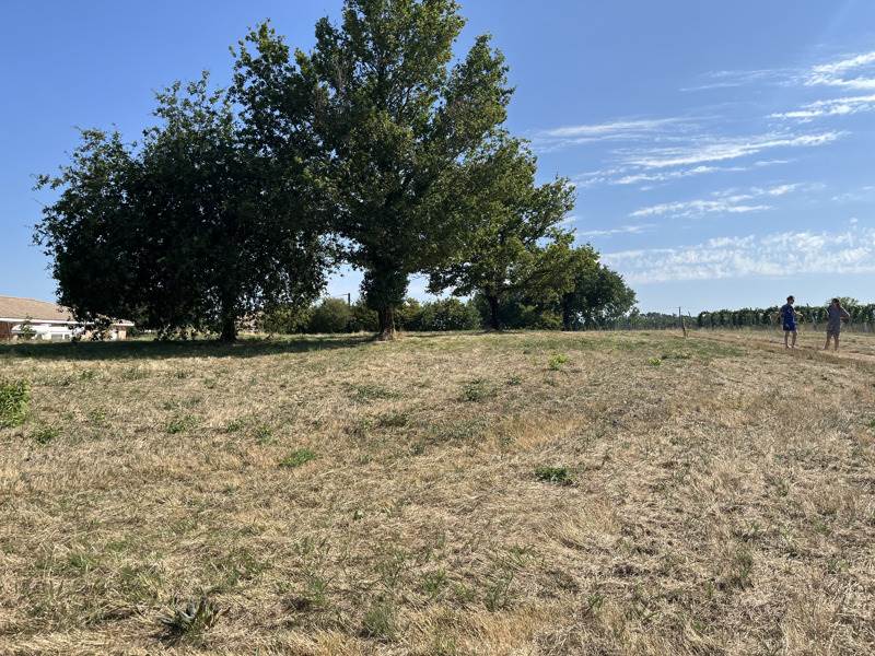 Vente Terrain BOISREDON - -2256 m² - (17150)