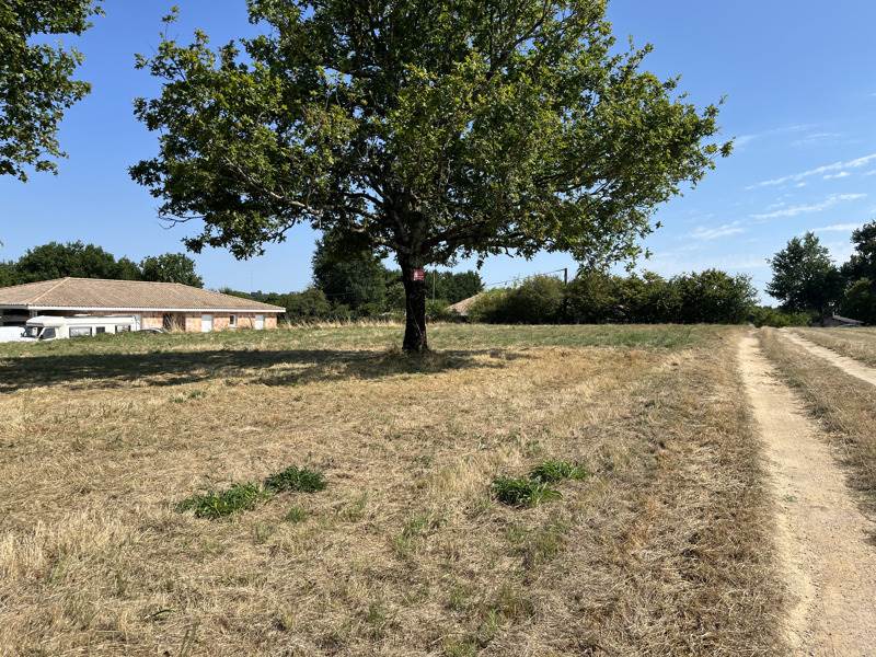 Vente Terrain BOISREDON - -2256 m² - (17150)