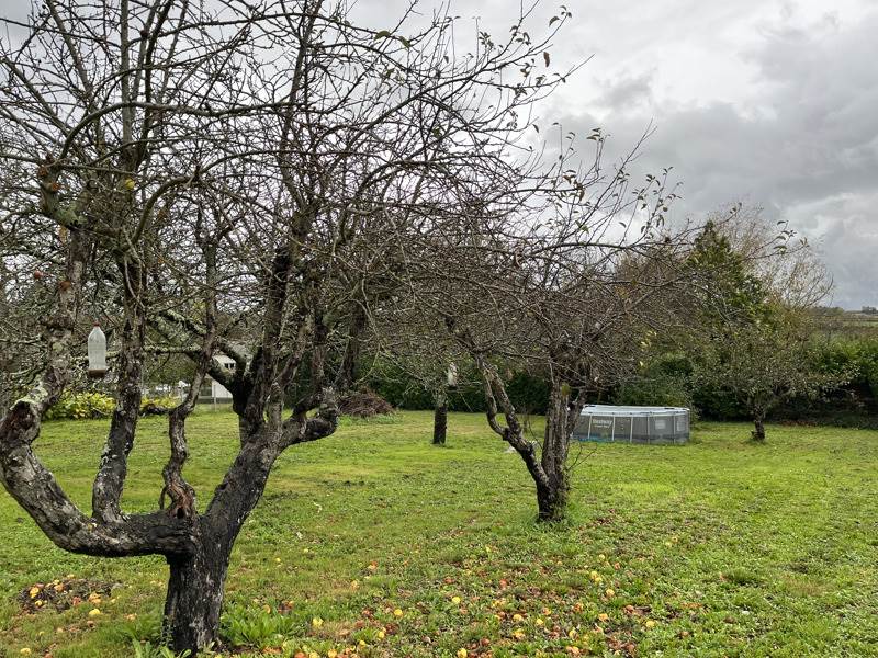 Vente Terrain MIRAMBEAU - -958 m² - (17150)