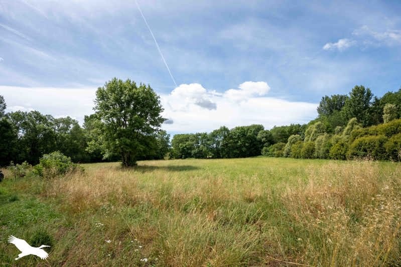 Vente Maison ST BONNET SUR GIRONDE - 6 pièces -170 m² - (17150)