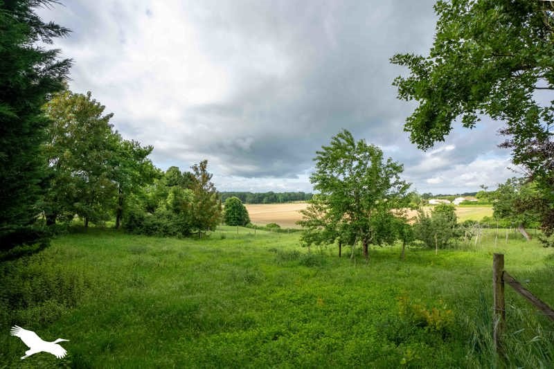 Vente Maison SOUBRAN - 7 pièces -200 m² - (17150)