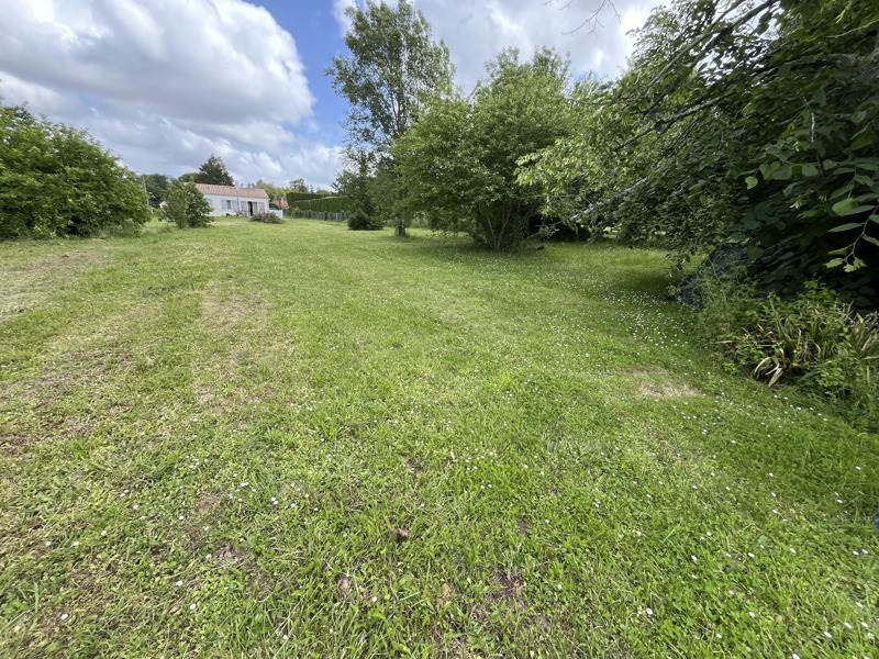 Vente Terrain MIRAMBEAU - -1000 m² - (17150)