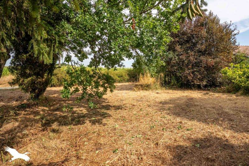 Vente Maison MIRAMBEAU - 6 pièces -134 m² - (17150)