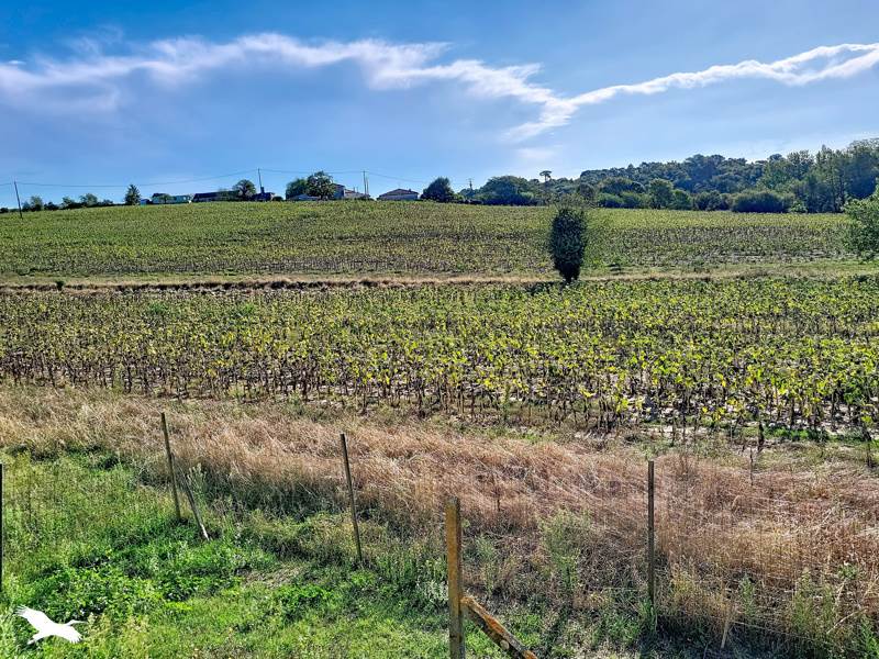 Vente Maison Mirambeau 17150 5 pièces - 124 m²