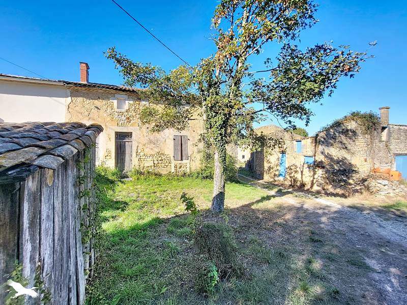 Vente Maison Mirambeau - 1 pièce -58 m² - (17150)