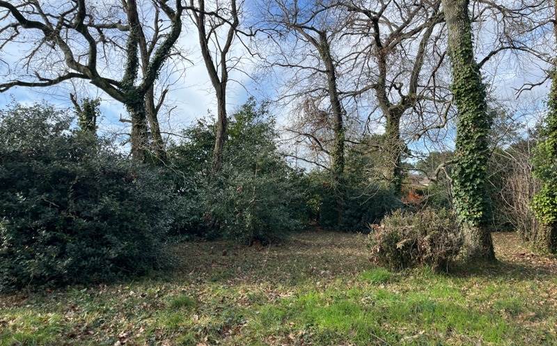 Vente Terrain MIOS - -1535 m² - (33380)