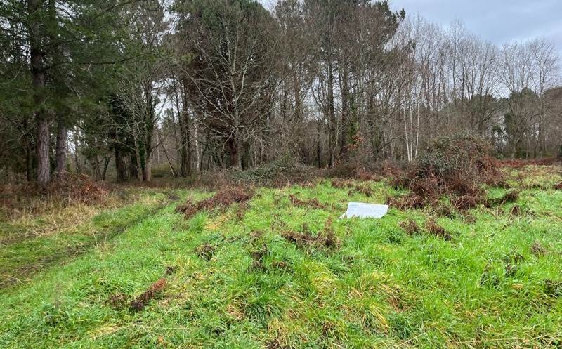 Vente Terrain MIOS - -1292 m² - (33380)