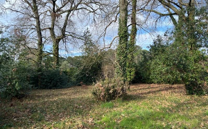 Vente Terrain MIOS - -904 m² - (33380)
