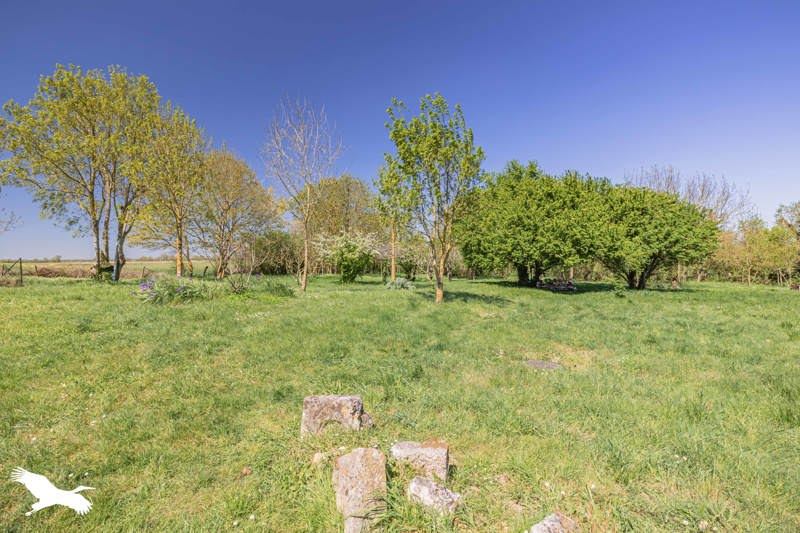 Vente Maison MORAGNE - 9 pièces -300 m² - (17430)