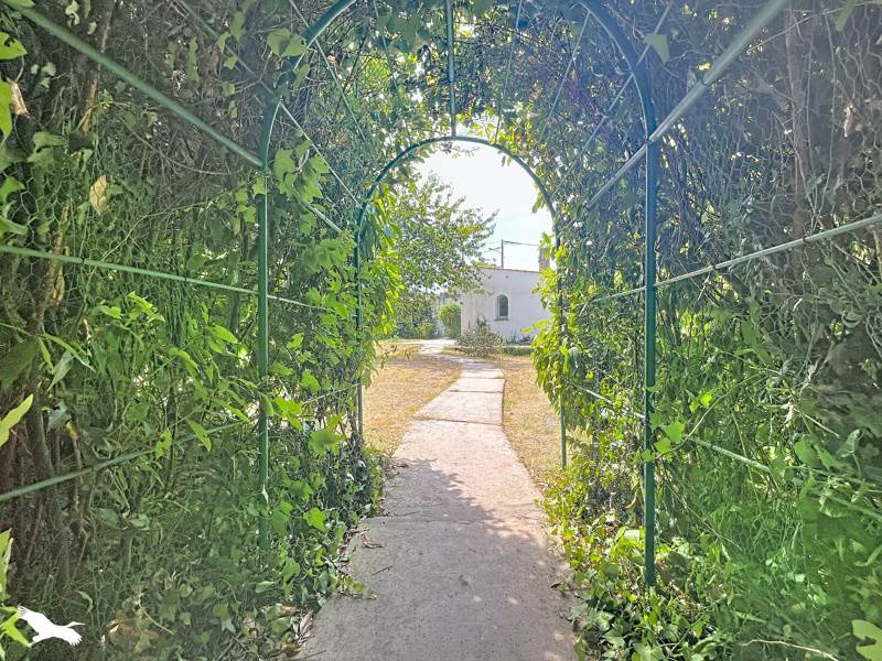 Vente Maison TONNAY CHARENTE - 7 pièces -140 m² - (17430)