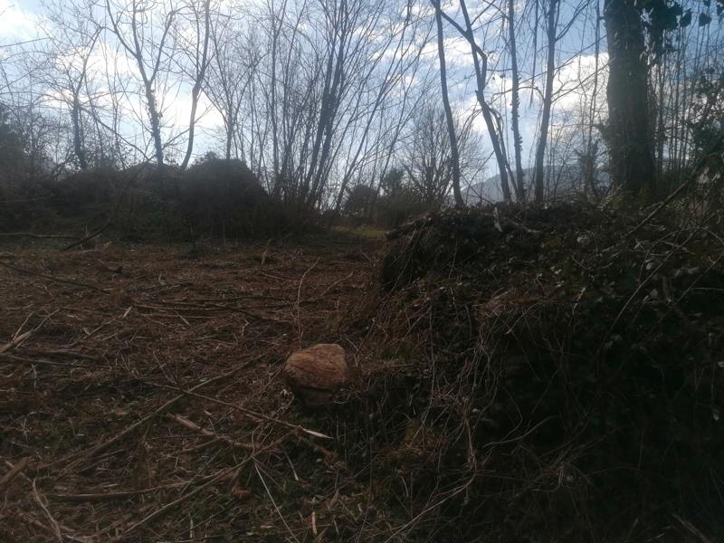Vente Terrain ST PAUL DE JARRAT - -2438 m² - (09000)