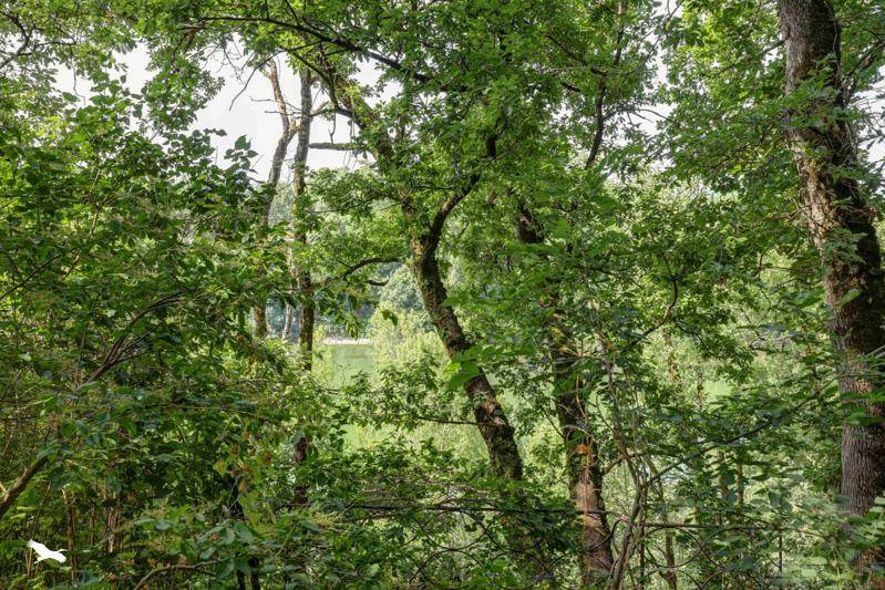 Vente Maison BESSIERES - 6 pièces -191 m² - (31660)