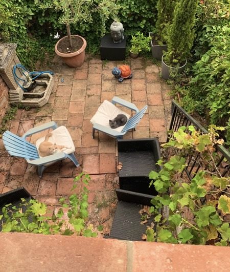 Vente Maison VILLEMUR SUR TARN - 3 pièces -62 m² - (31340)