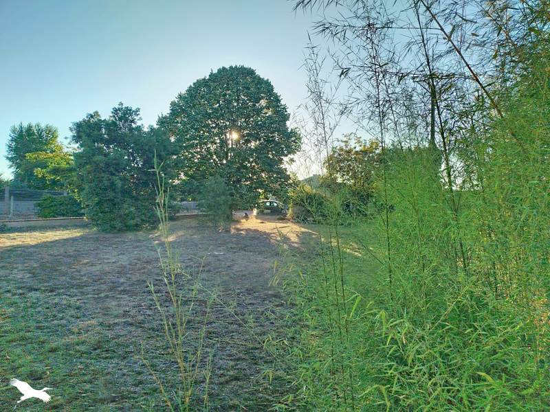 Vente Terrain Bessières - -800 m² - (31660)