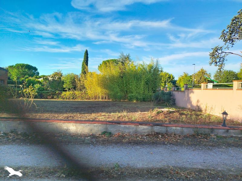 Vente Terrain Bessières - -800 m² - (31660)
