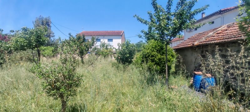 Vente Terrain GRAULHET - -827 m² - (81300)