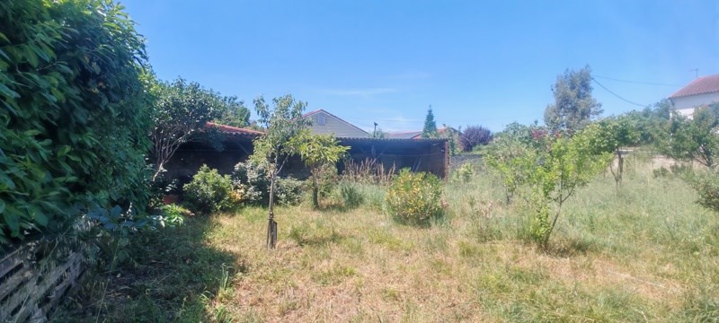 Vente Terrain GRAULHET - -827 m² - (81300)