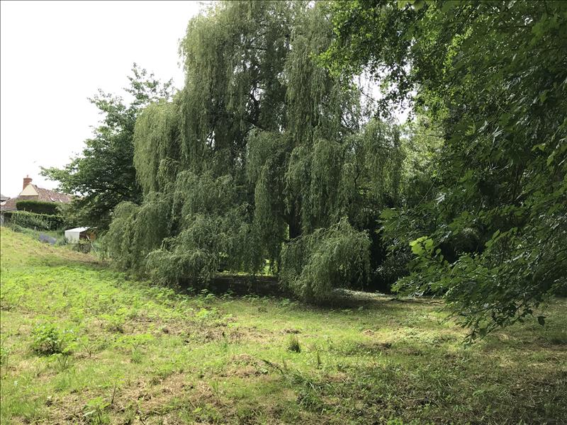 Vente Terrain ORBIGNY - -3000 m² - (37460)